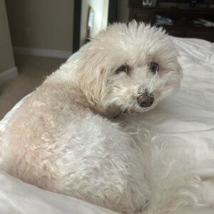 Meet your Posher, Jane